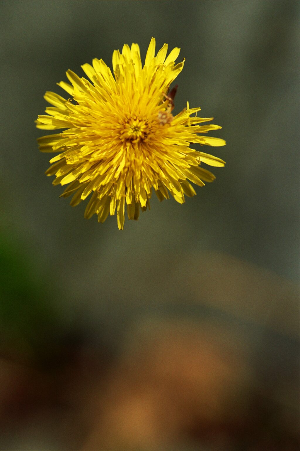 Blog Münzviertel